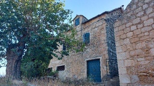 Briggs i Jagustovic